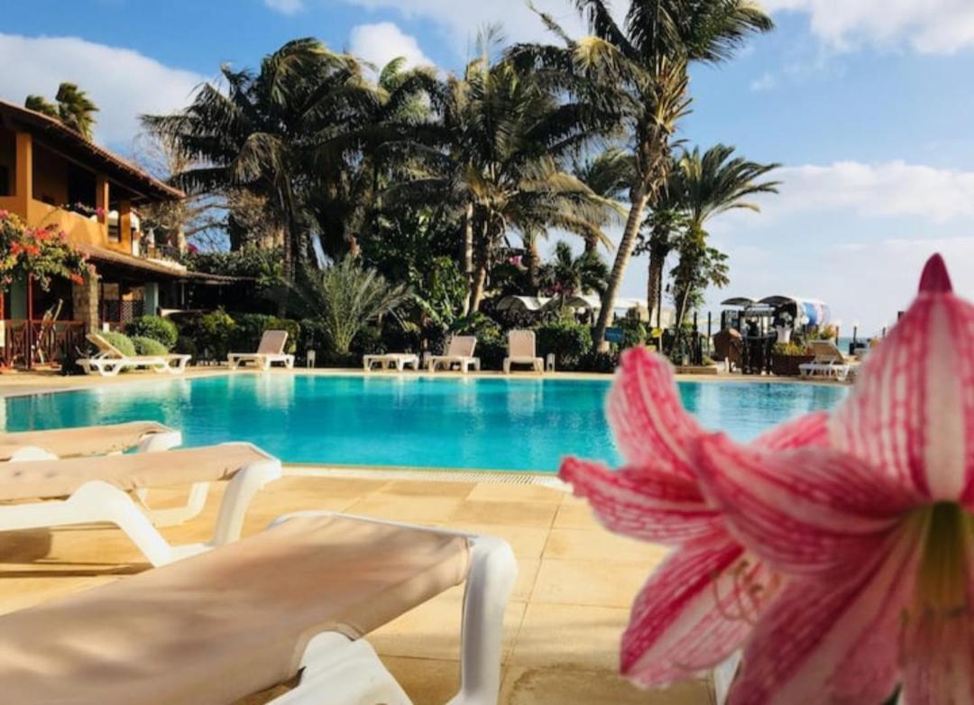 Beach Front Ocean View Porto Antigo2 Santa Maria Exterior photo